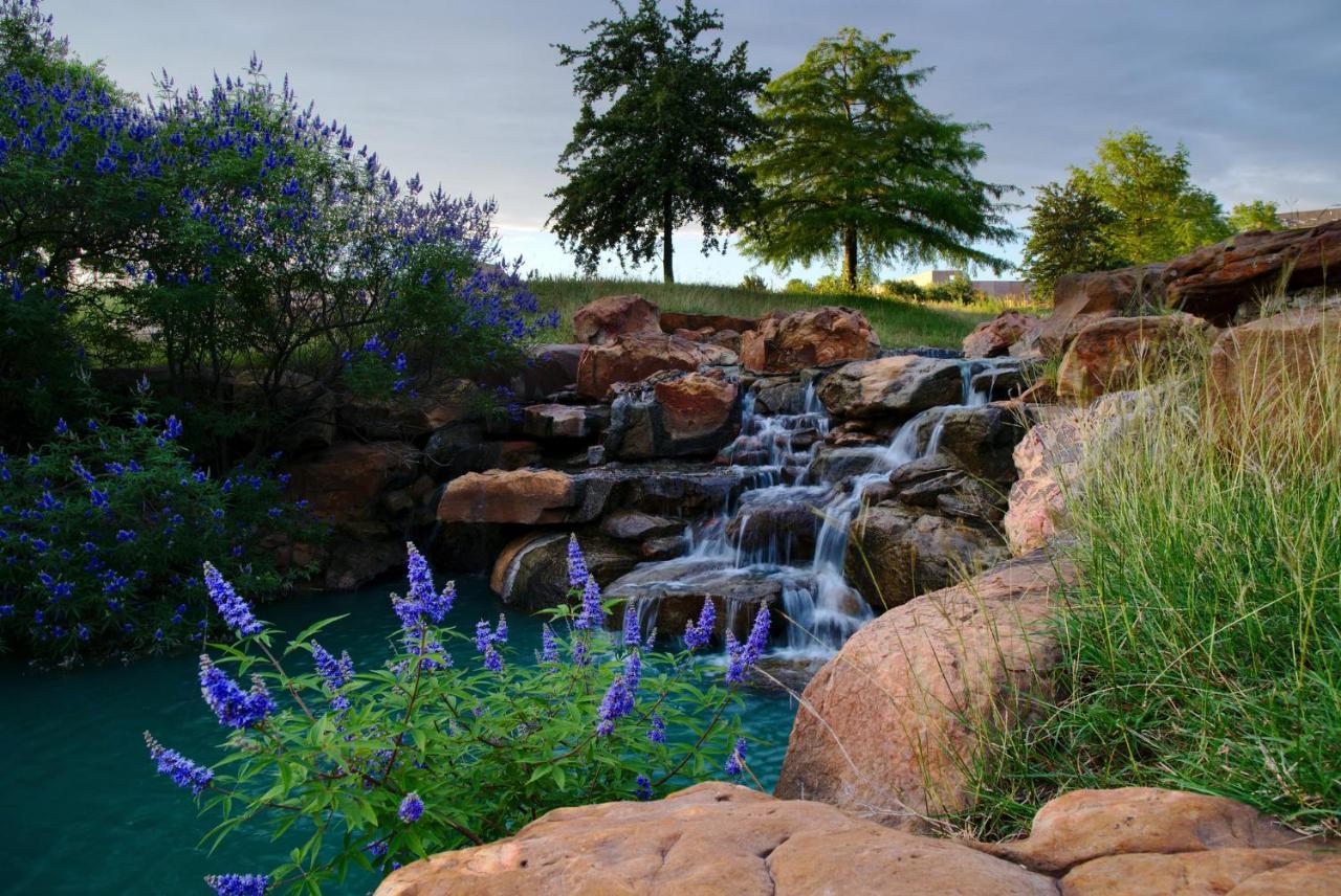 Holiday Inn Express Frisco Legacy Park Area, An Ihg Hotel Exteriér fotografie